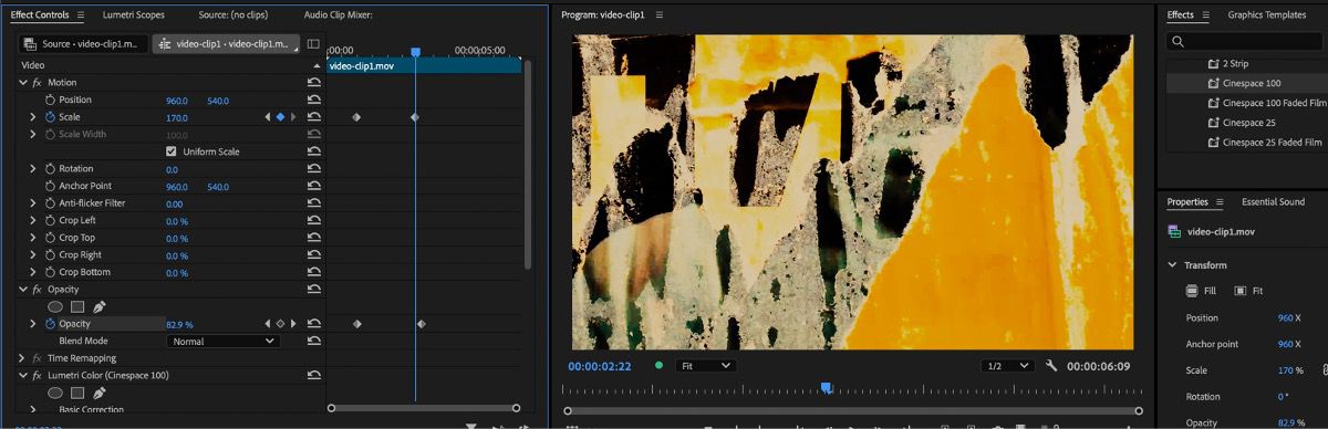 Il pannello Controlli effetti è aperto e presenta le proprietà Scala e Opacità aperte con fotogrammi chiave aggiunti.