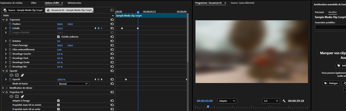 Le panneau Options d'effet est ouvert et affiche les propriétés Échelle et Opacité contenant des images clés.
