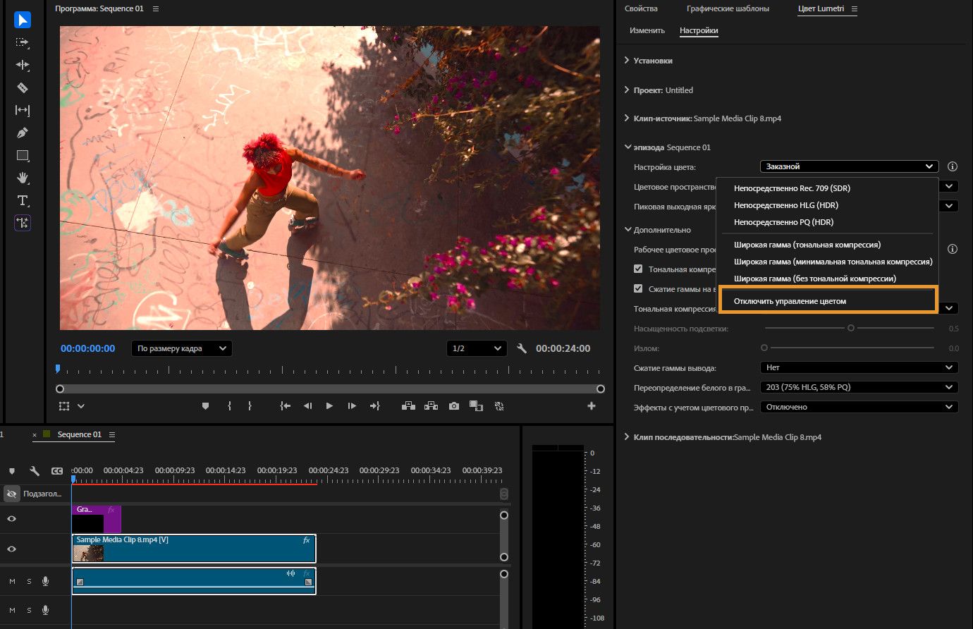 Открыт монитор программы с предварительным просмотром последовательности. На правой панели отображаются настройки управления цветом, включая параметры для цветового пространства, выходного цветового пространства и расширенные функции управления цветом.