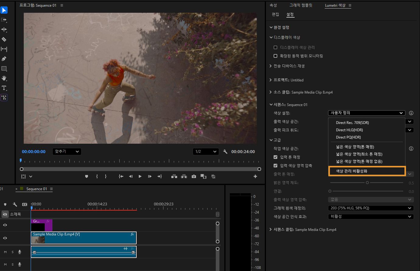 프로그램 모니터가 열려 있고 시퀀스의 미리 보기가 표시됩니다.오른쪽 패널에는 색 공간, 출력 색 공간 및 고급 색상 관리 기능에 대한 옵션을 포함한 색상 관리 설정이 표시됩니다.