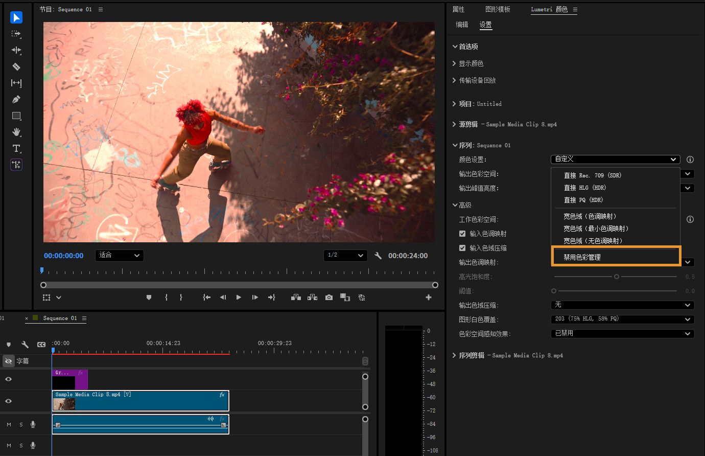 节目监视器已打开，并显示序列预览。 右侧面板显示色彩管理设置，包括色彩空间、输出色彩空间选项及高级色彩管理功能。