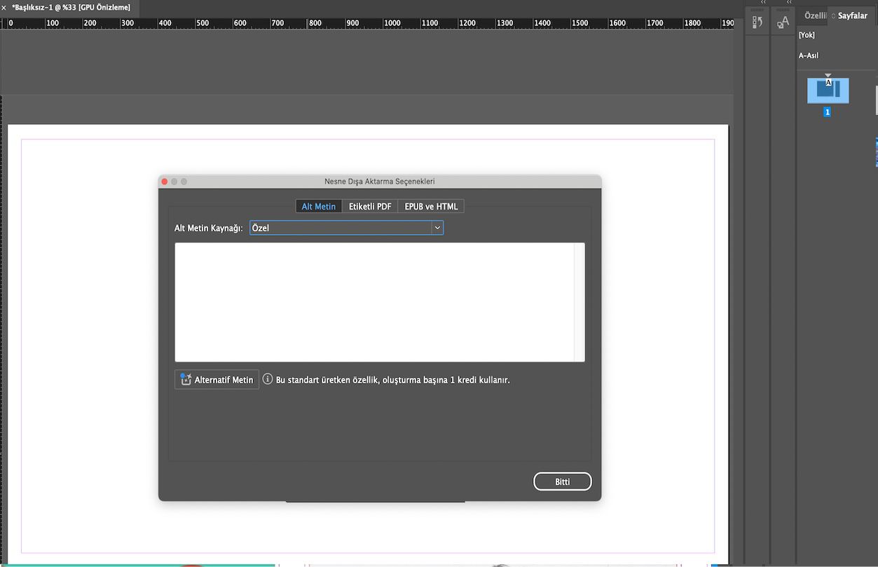 Alternatif Metin Kaynağı olarak Özel seçili şekilde Nesne Dışa Aktarma Seçenekleri iletişim kutusunu gösteren ekran görüntüsü.