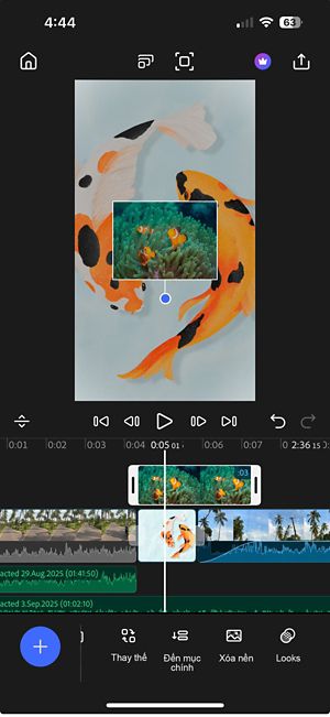 Dòng thời gian hiển thị một đoạn video trong đường chính, với một clip khác nằm phía trên trong đường phủ—tạo hiệu ứng hình trong hình.