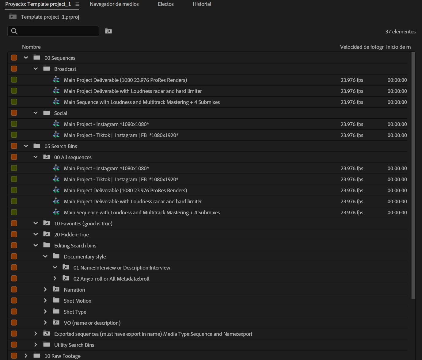 Una vista de los archivos de plantilla de proyecto en el panel Proyecto.