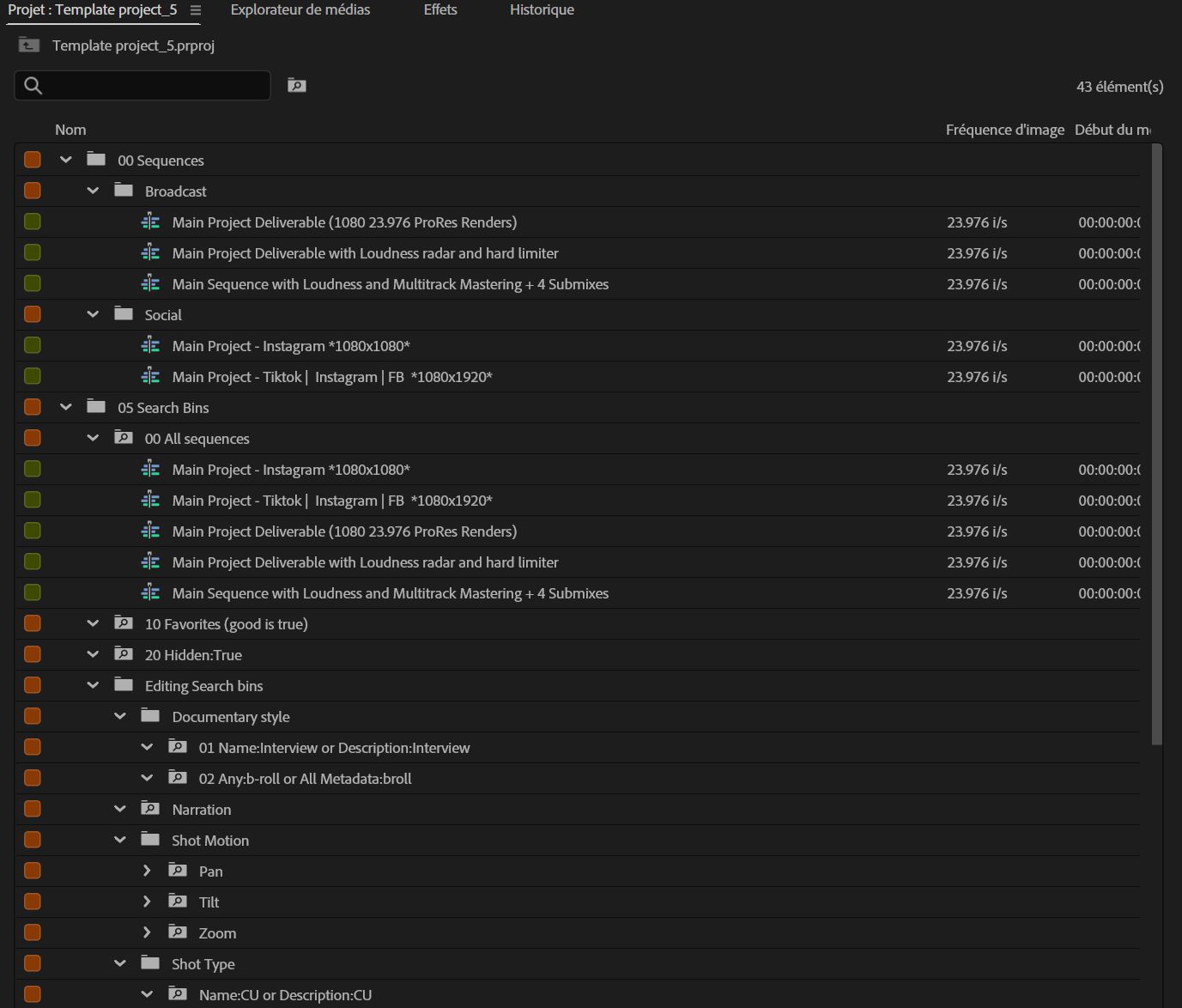 Vue des fichiers de modèles de projet dans le panneau Projet.