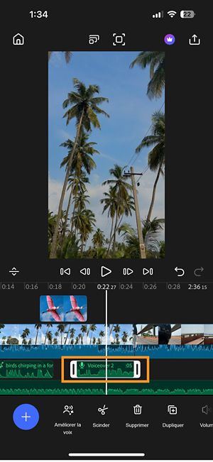 Un clip de voix off mis en évidence dans le montage, prêt à être modifié avec la piste vidéo.