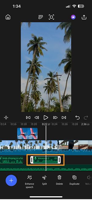 A voiceover clip highlighted in the timeline, showing it’s ready for further editing along with the video track.