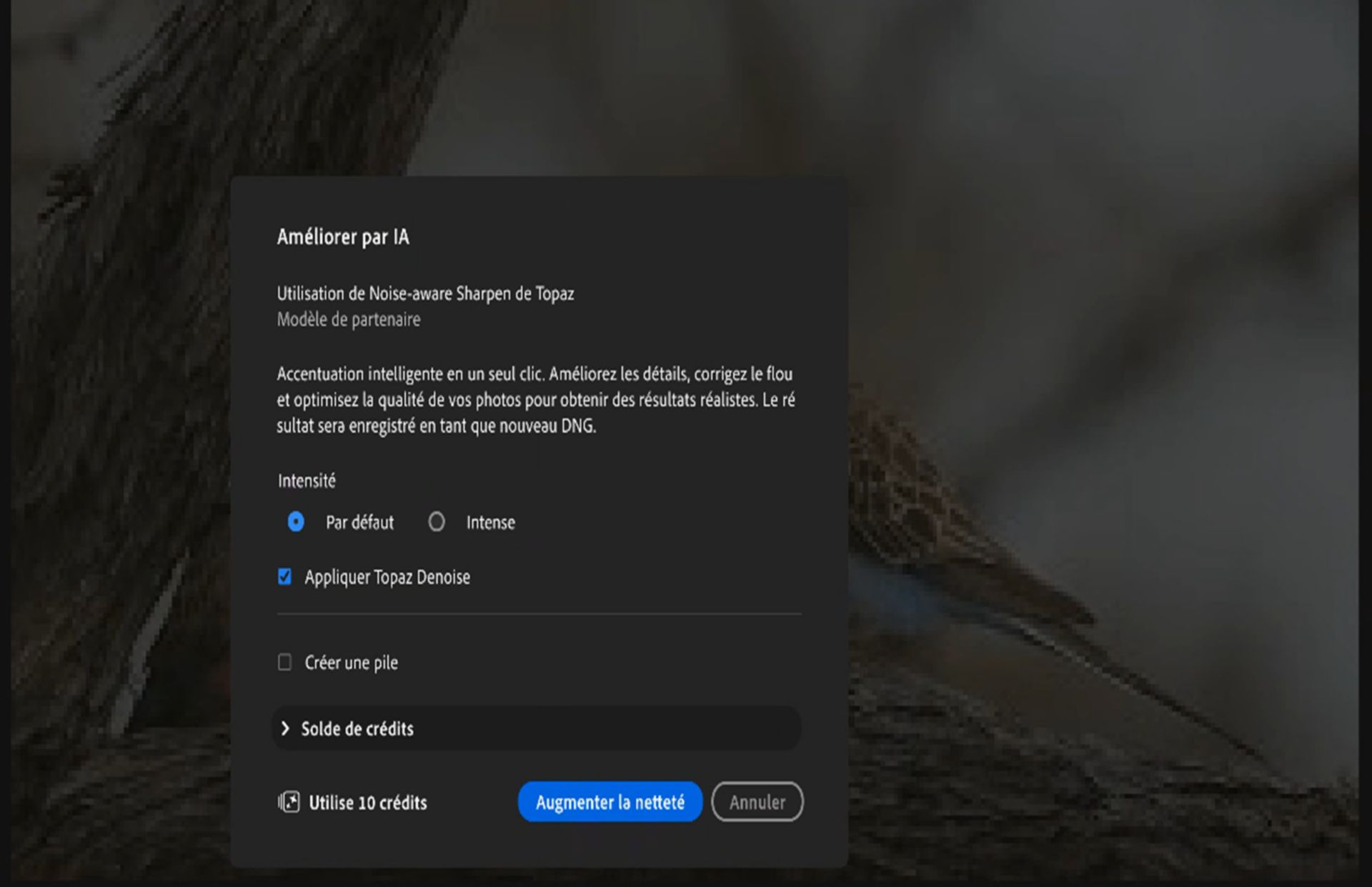 Boîte de dialogue Accentuation par IA dans Adobe Lightroom montrant les options de netteté, y compris les paramètres d’accentuation (Par défaut et Forte), Appliquer Topaz Denoise, Créer une pile, l’utilisation des crédits et le bouton Netteté.
