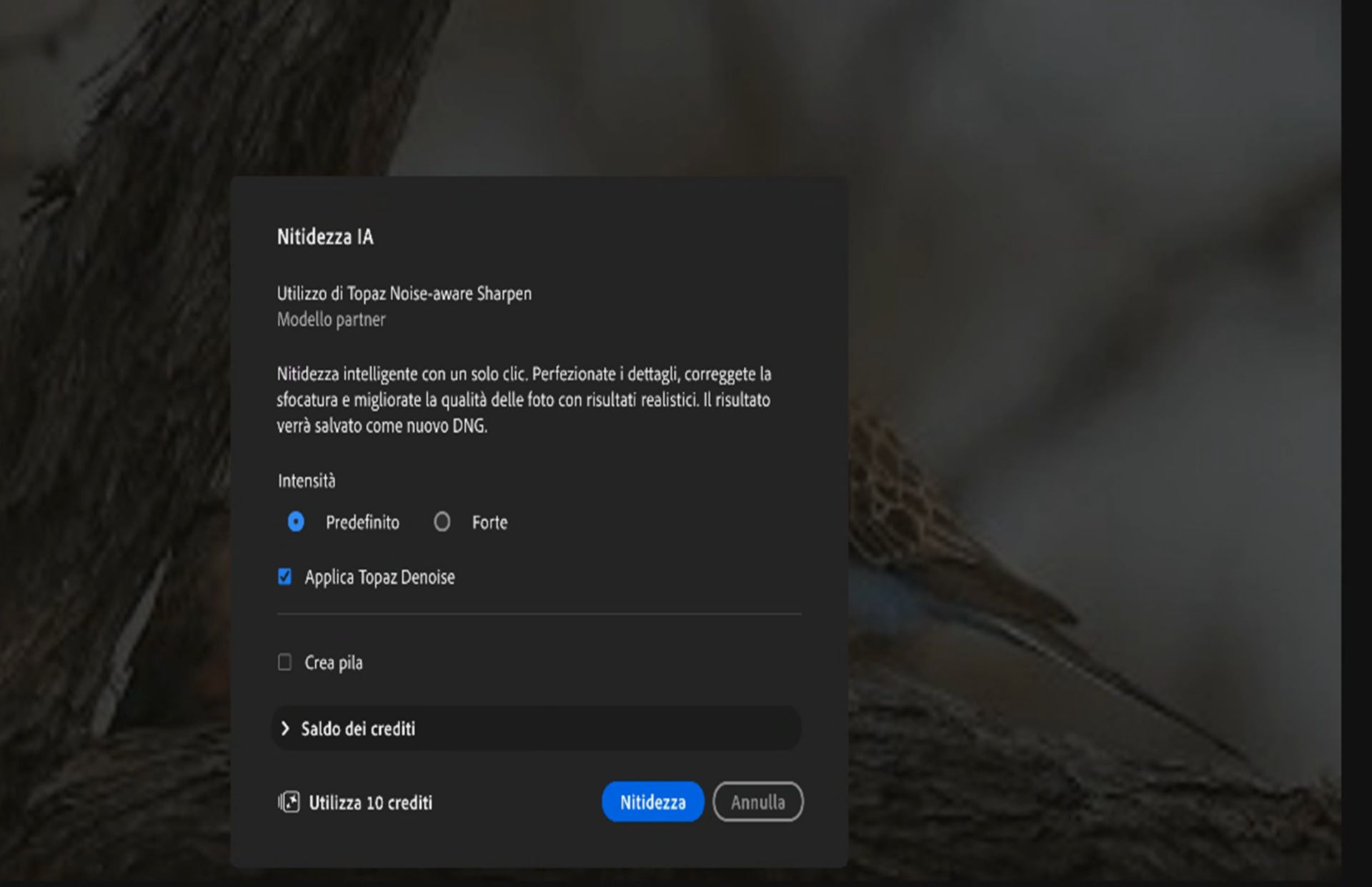 Finestra di dialogo Nitidezza IA in Adobe Lightroom che mostra le opzioni di nitidezza, incluse le impostazioni di Intensità (Predefinito e Forte), Applica Topaz Denoise, Crea serie, utilizzo dei crediti e il pulsante Nitidezza.