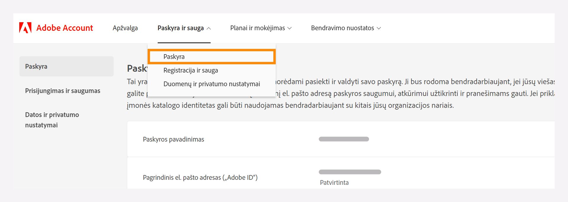 Paskyros ir saugumo langas su išskleidžiamąja parinktimi, kurioje galima pasirinkti paskyros parinktį.