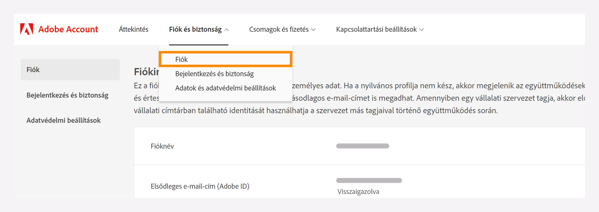A Fiók és biztonság ablak a Fiók opció kiválasztására szolgáló legördülő menüvel.