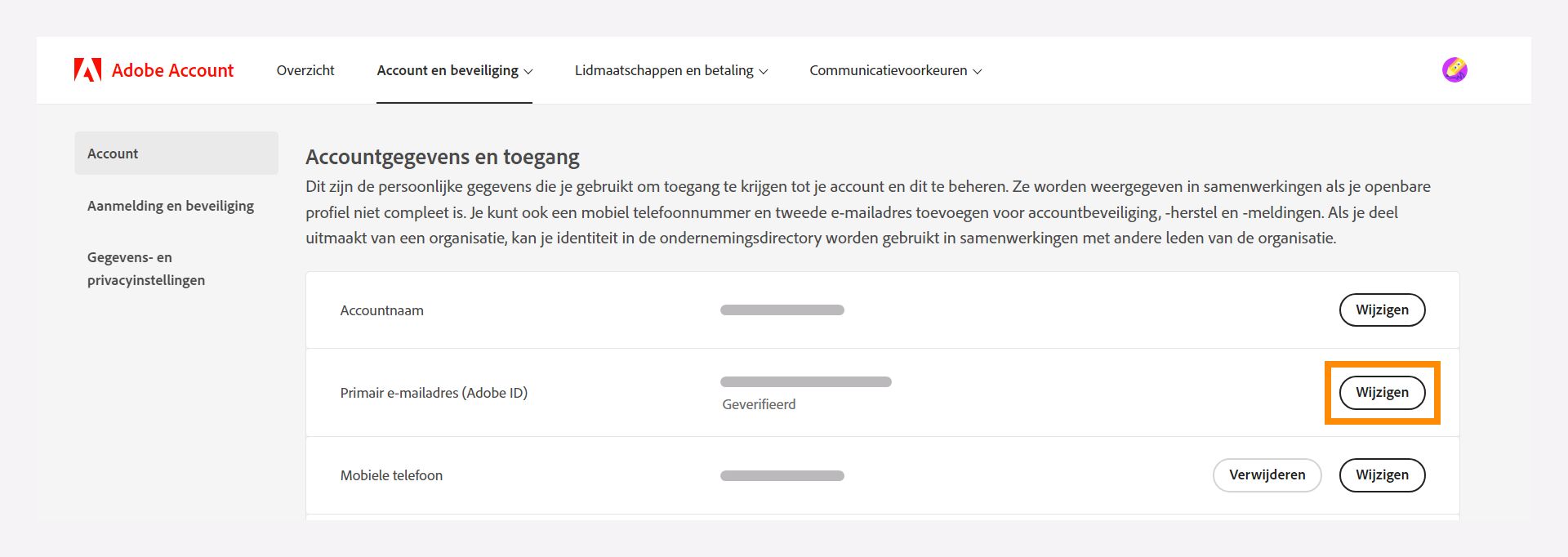 Venster Accountinformatie en toegang om uw primaire e-mailadres te wijzigen.