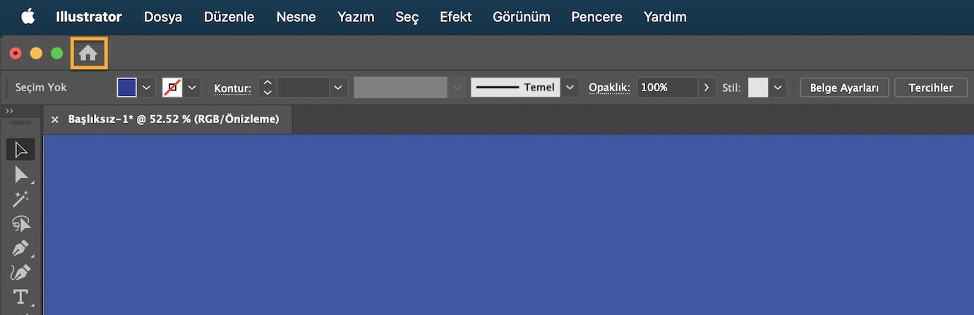 Ana ekrana geçiş yapma düğmesiyle çalışma alanındaki etkin belge.