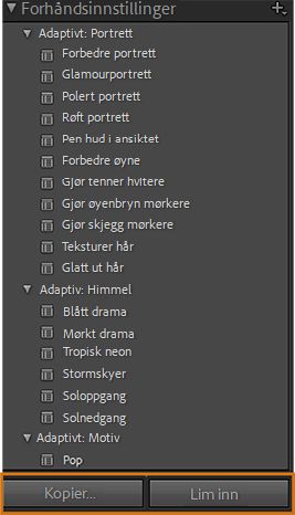 Skjermbilde av forhåndsinnstillinger for maskering med kunstig intelligens med fremhevet Kopier og Lim inn