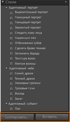 Снимок экрана со стилями ИИ-масок с выделенными кнопками «Копировать» и «Вставить»