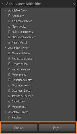 Captura de pantalla de los ajustes preestablecidos de Máscara de IA con las opciones Copiar y Pegar resaltadas