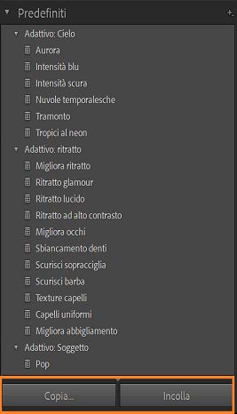 Schermata dei predefiniti della mascheratura basata sull'intelligenza artificiale con le opzioni Copia e Incolla evidenziate