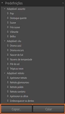 Captura de tela Predefinições de mascaramento de IA com as opções Copiar e colar realçadas