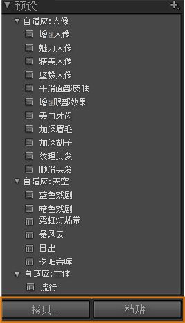 AI 蒙版预设的屏幕截图，“复制和粘贴”高亮显示