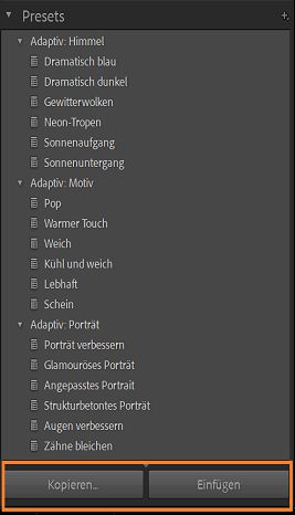 Screenshot der KI-Maskierungs-Presets mit hervorgehobenem Kopieren und Einfügen