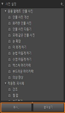 복사 및 붙여넣기가 강조된 AI 마스킹 사전 설정 스크린샷