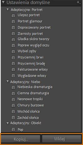 Zrzut ekranu predefiniowanych ustawień maskowania SI z podświetloną opcją Kopiuj i wklej