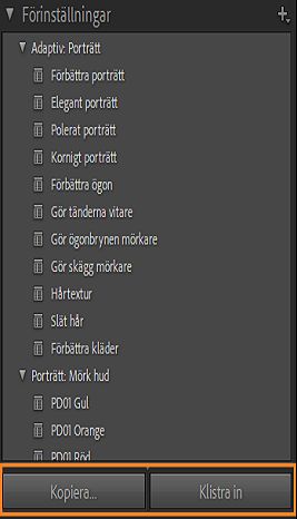 Skärmbild av AI-maskeringsförinställningar där kopiera och klistra in markerats