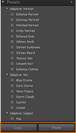 Screenshot of AI masking Presets with highlighted Copy and Paste