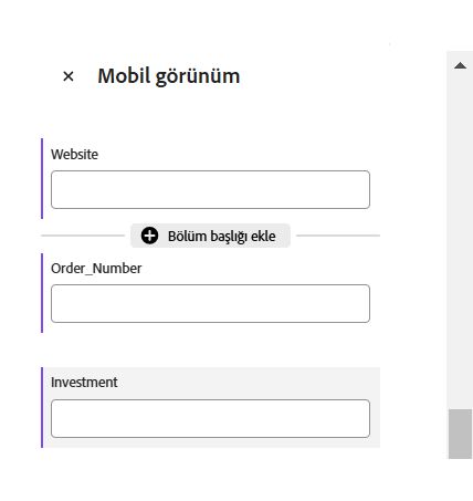 Düzenle simgesinin vurgulandığı Bölüm Başlığı.