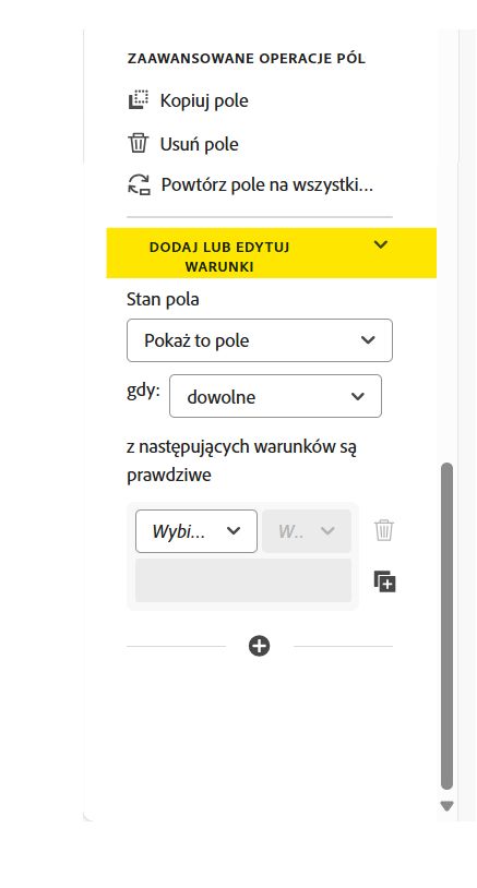 Sekcja Dodaj lub edytuj warunki we właściwościach pola.