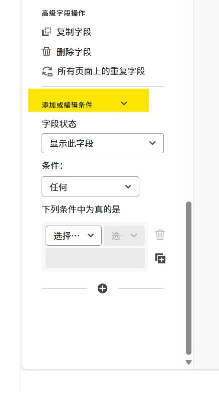 字段属性的“添加或编辑条件”部分。