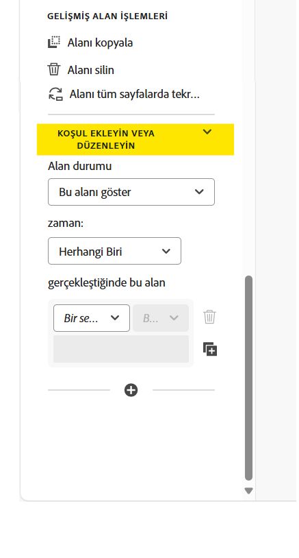Alan özelliklerinin Koşul Ekleme veya Düzenleme bölümü.