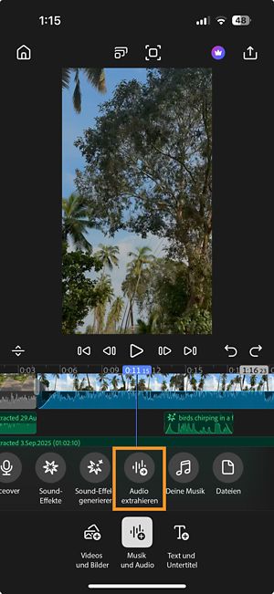 Die Option Audio extrahieren ist unter Musik und Audio hervorgehoben.