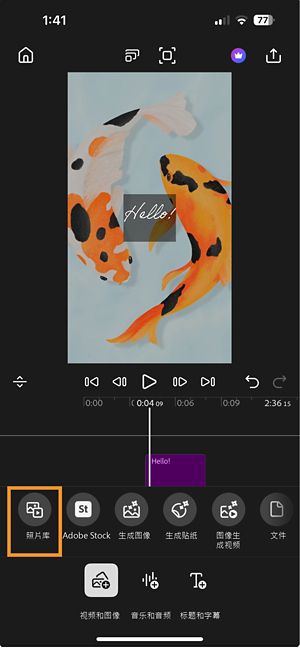 “添加”模式显示“照片库”选项高亮显示，以及其他添加视频和图像的选项。