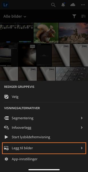 Legg til bilder fra Lightroom-visning