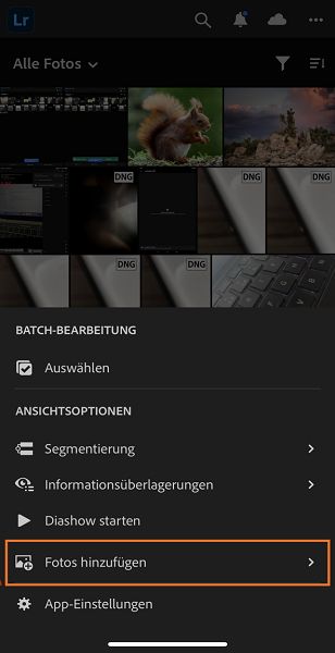 Füge Fotos aus der „Lightroom“-Ansicht hinzu