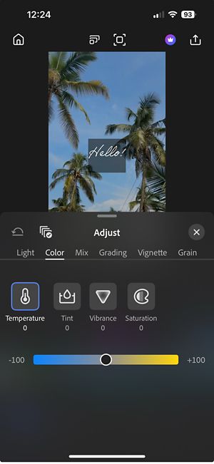 Adjust panel open with the Color tab selected, showing sliders for Temperature, Tint, Vibrance, and Saturation to edit the colors of the footage.