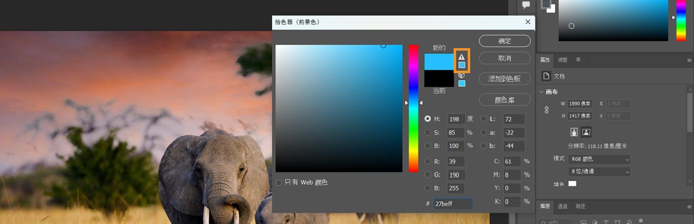 Adobe 拾色器窗口，其中突出显示了超出色域警告图标。