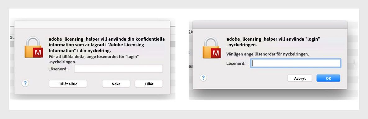 Adobe-appar visar en licensieringshjälpdialog som ber användaren ange sitt lösenord.