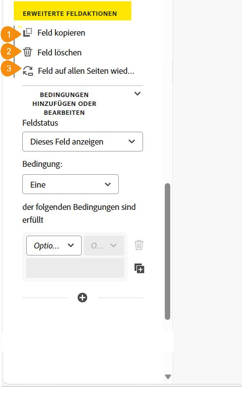 Der Abschnitt „Erweiterte Feldaktionen“ der Feldeigenschaften.