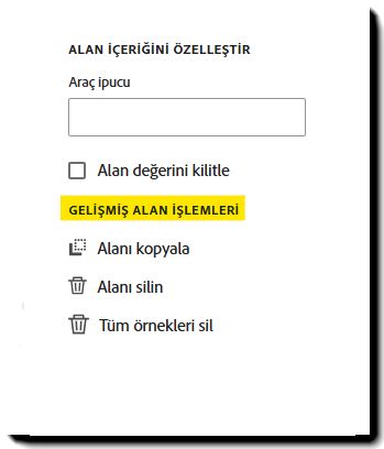 Alan özelliklerinin Gelişmiş Alan Eylemleri bölümü.