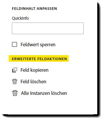Der Abschnitt „Erweiterte Feldaktionen“ der Feldeigenschaften.