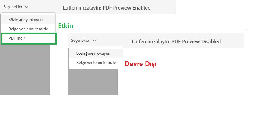 Web formunun PDF şeklinde önizlemesine izin ver