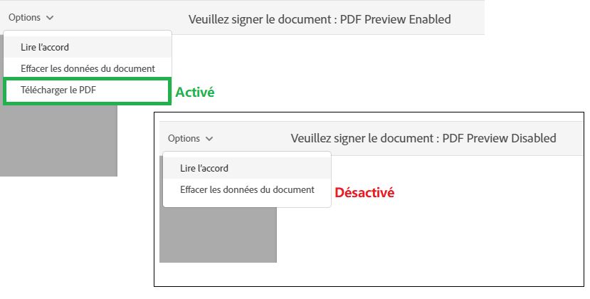 Autoriser l’aperçu PDF du formulaire web