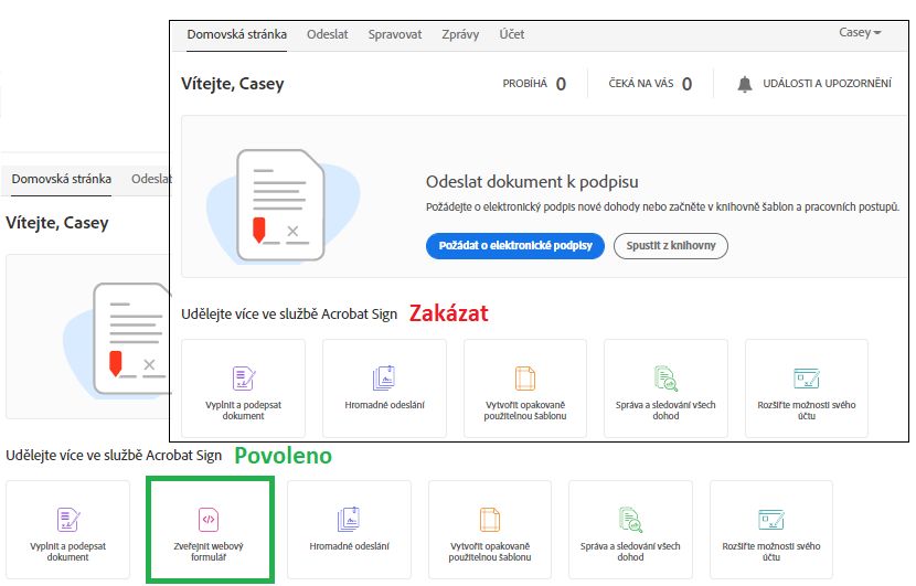 Povolení použití funkce webových formulářů na domovské stránce