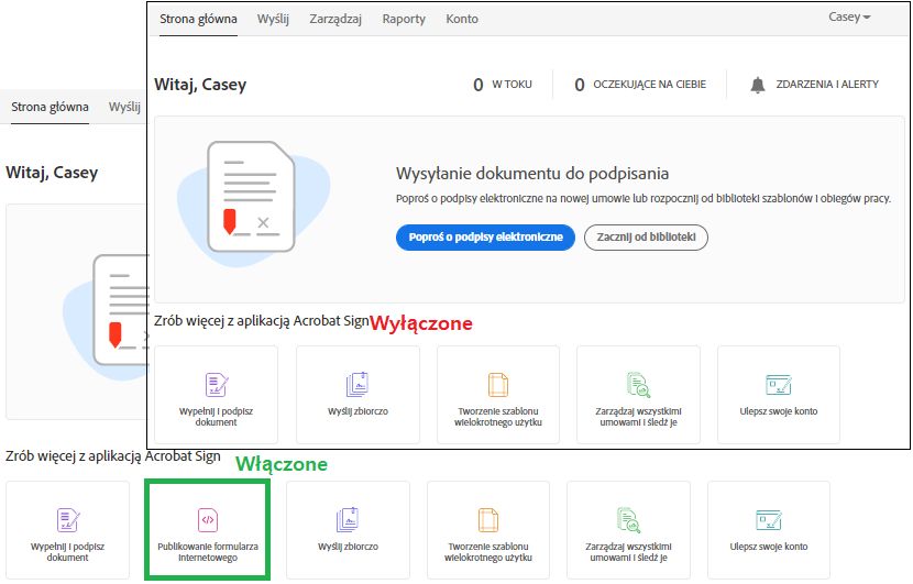 Umożliwienie stosowania efektu formularzy internetowych na stronie głównej