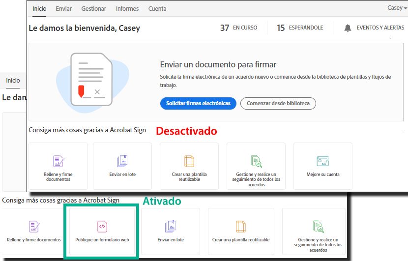 Permitir el uso del efecto de formularios web en la página principal