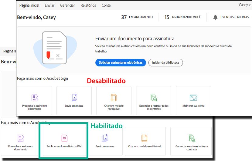 Permitir o uso do efeito de formulários web na página inicial