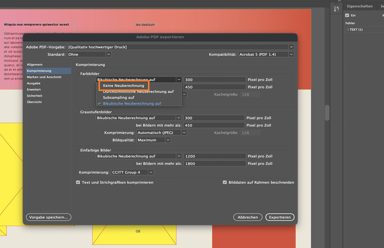 Ein InDesign-Dokument, das das Dialogfeld „Adobe PDF exportieren" mit ausgewähltem Komprimierungs-Tab und hervorgehobenem „Nicht downsampeln für Farbbilder" anzeigt.