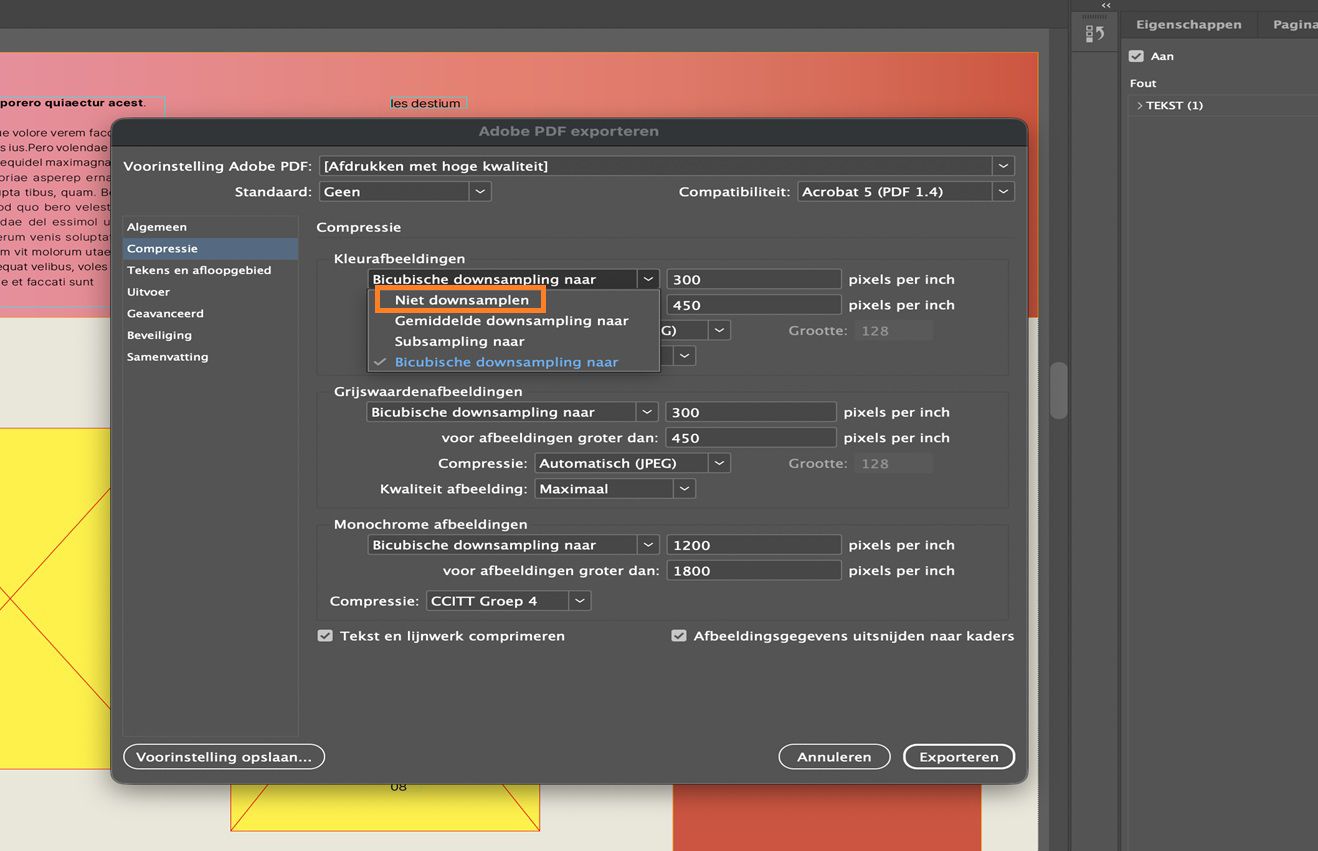 Een InDesign-document met het dialoogvenster Adobe PDF exporteren met het tabblad Compressie geselecteerd en Niet downsamplen voor kleurenafbeeldingen gemarkeerd.